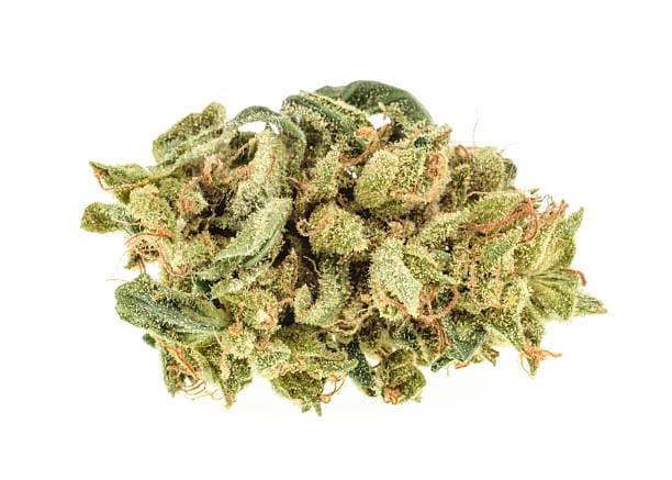 Beispielabbildung einer Cannabisblüte, nicht sortenspezifisch